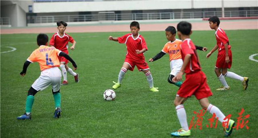 渭南新闻2019年12月20日,渭南新闻10月24日