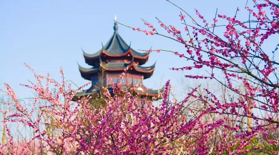 2019年上海二手房房价会跌吗,上海浦东新区二手房90平米多少钱