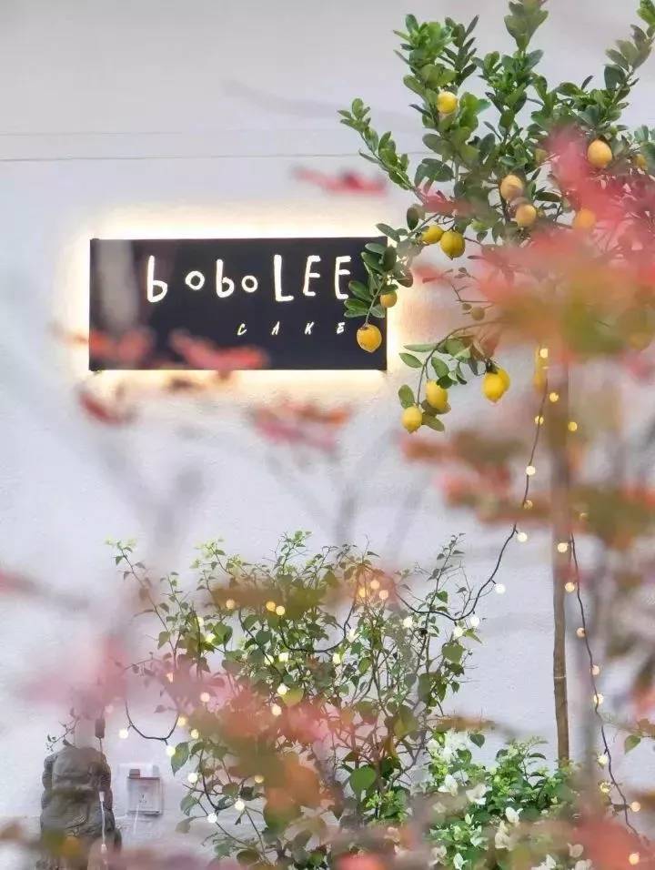 涓婃捣鏍楀瓙缇庨鏀荤暐,2019鏍楀瓙缇庨