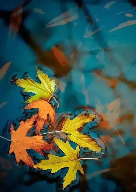 10首相思的诗句,九首相思诗词九重相思境界