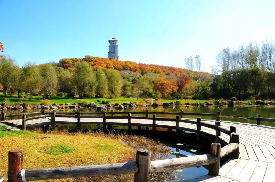 这就是长春,长春火了