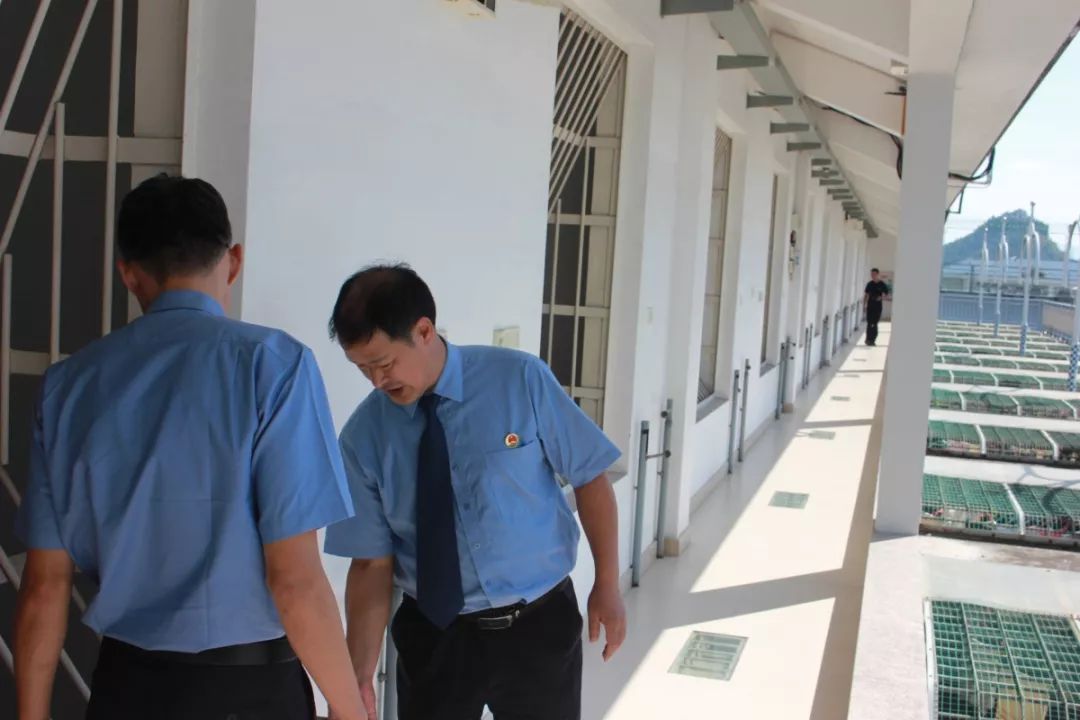 保护在押人员合法权益检察建议书,福鼎检察院审查最新案件