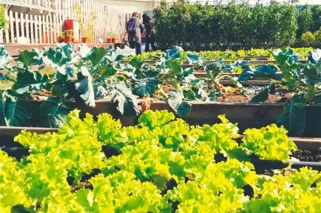 赛车卡丁车武汉,赛车场卡丁车武汉