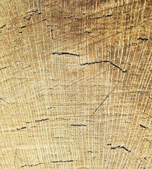 哪种木材便宜又不容易开裂,防水胶可以防止木材开裂吗