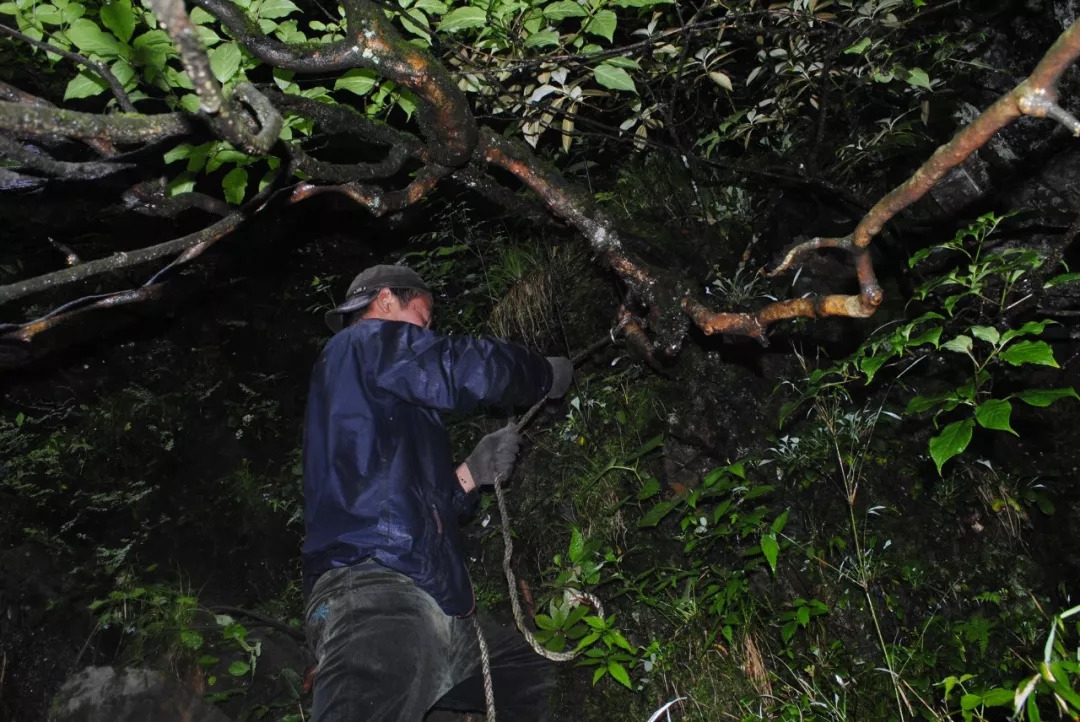 百慕大黑竹沟未解之谜,指南针失效