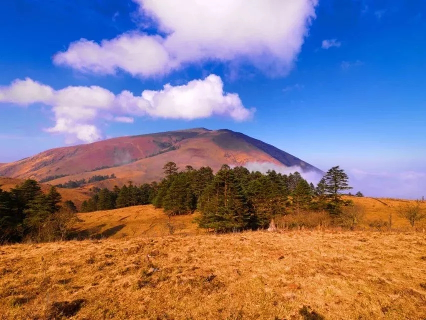 百慕大黑竹沟未解之谜,指南针失效