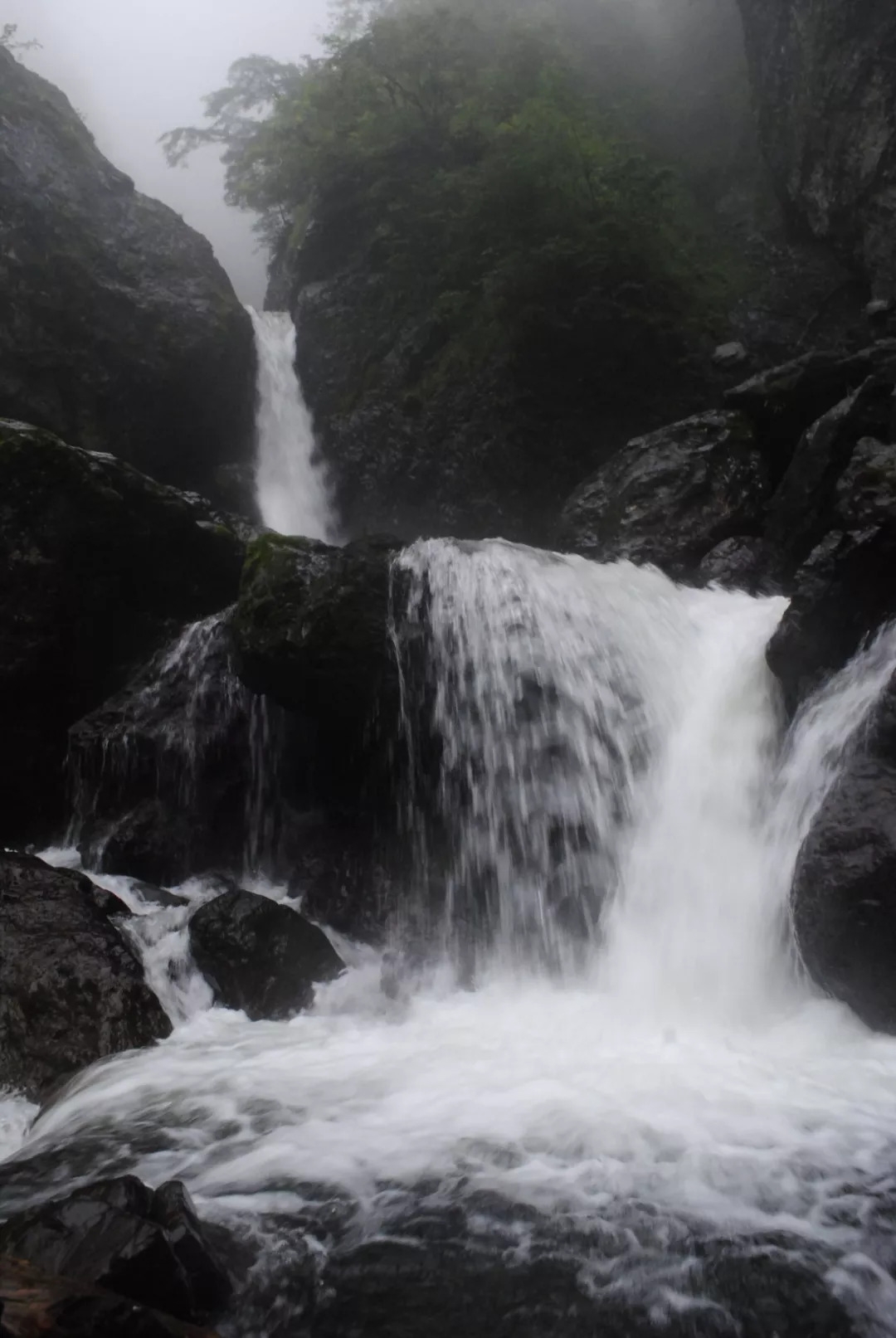 百慕大黑竹沟未解之谜,黑竹沟百慕大三角探险