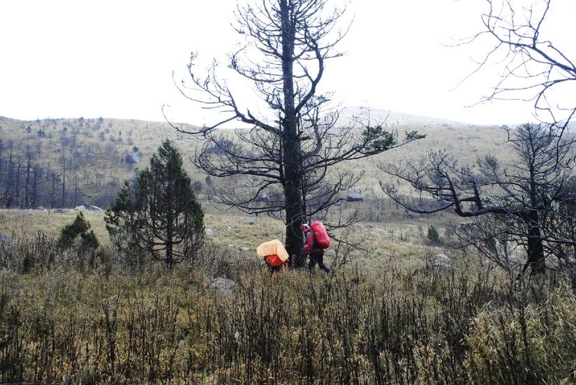 百慕大黑竹沟未解之谜,黑竹沟百慕大三角探险