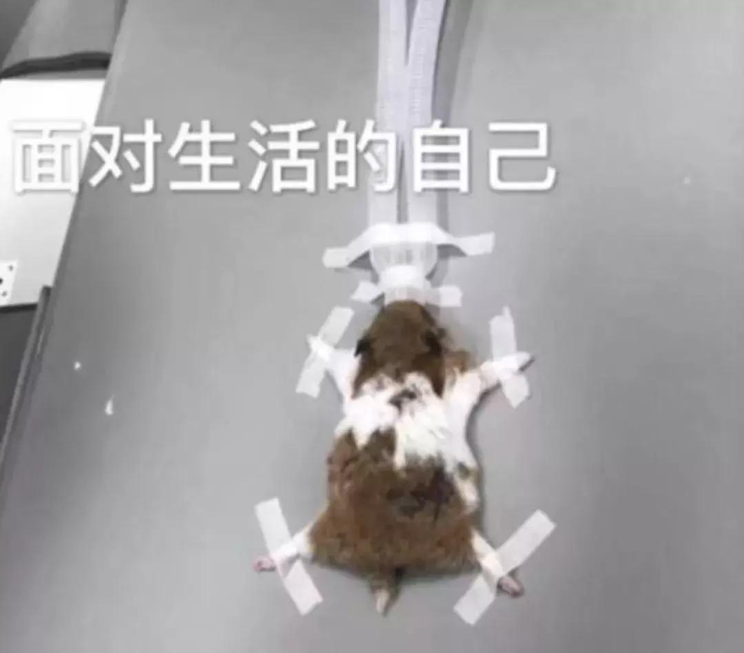 20岁女生结扎,22岁女生结扎