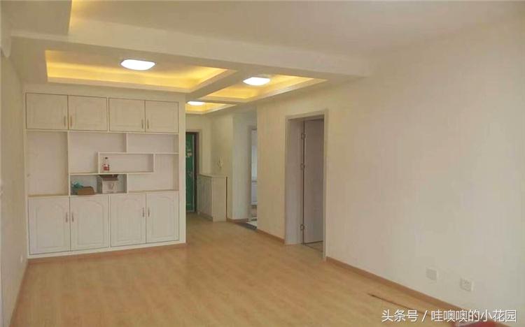 发财树掉枝,发财树搬到新家马上就黄叶了