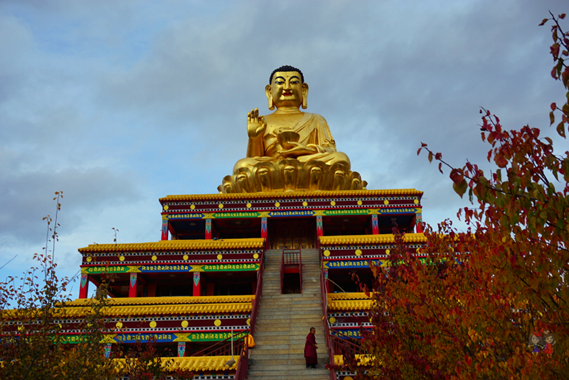 为什么藏人都说喇嘛最聪明?探秘青藏高原寺中的灵魂密码师