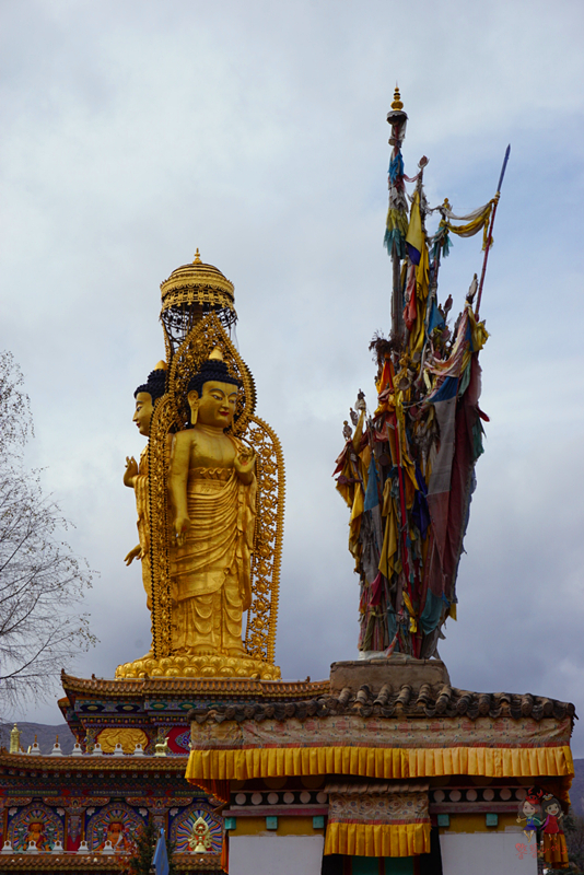 为什么藏人都说喇嘛最聪明?探秘青藏高原寺中的灵魂密码师