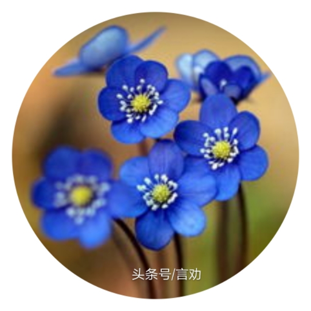 做个真正的蓝颜知己,讲解蓝颜知己