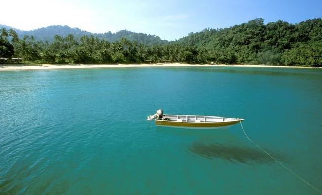 期货简单交易模式,期货专注一个品种做趋势
