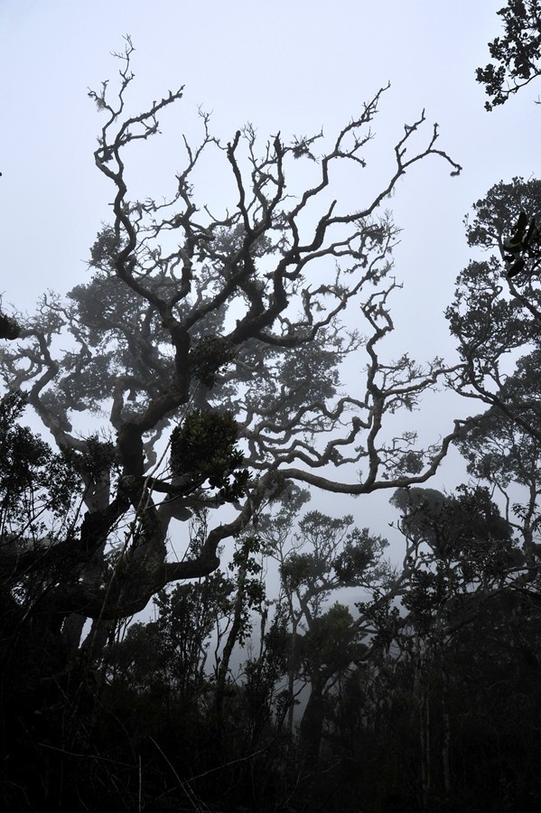 人文摄影斯里兰卡,锡兰风景
