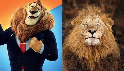 属虎的狮子男性格特点,金星狮子男的性格特点