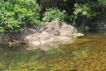 昔日谢岗围浓浓故乡情