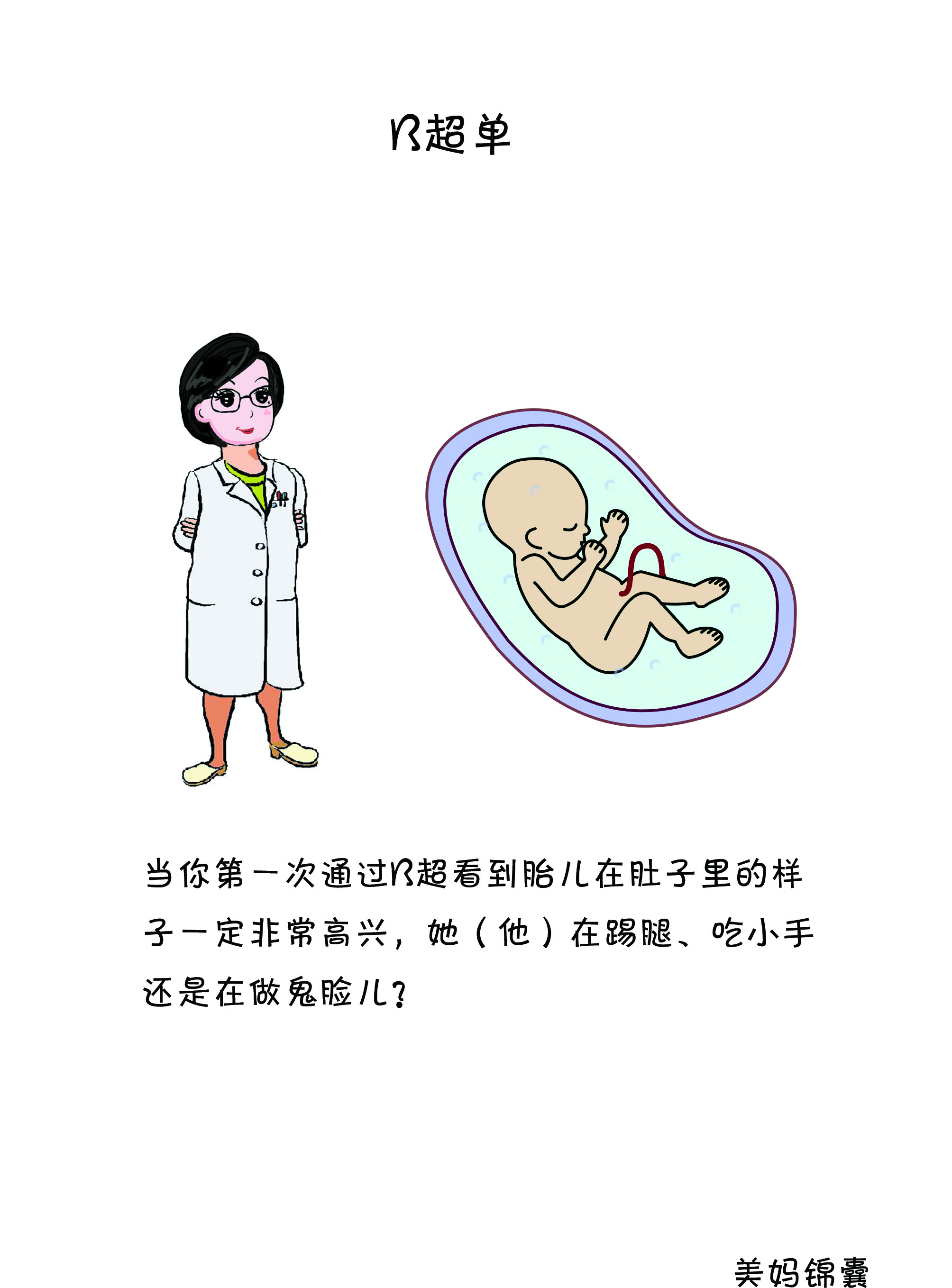 如何看b超单双肾图像,如何看b超单图像是圆形还是长形