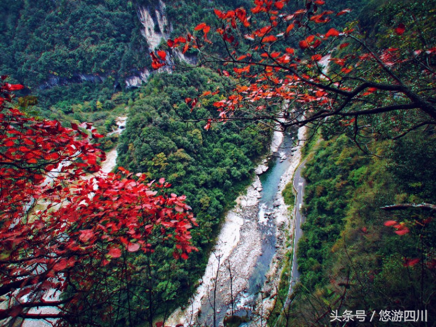 2020光雾山红叶观赏最佳地点,巴中光雾山红叶路线