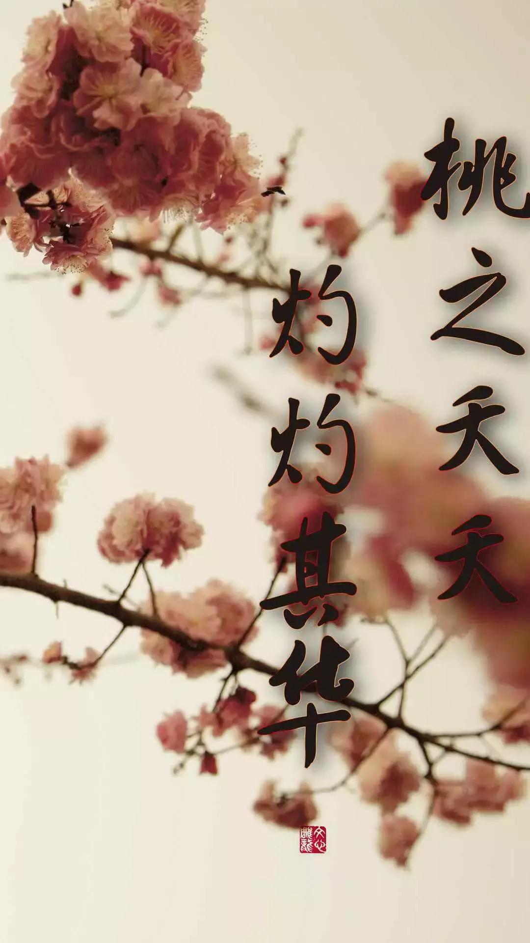 李子柒桃花醉步骤,桃花酿果酒李子柒