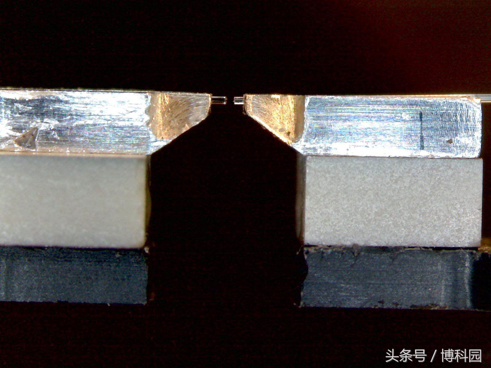 量子足球最新消息,量子足球数据排行