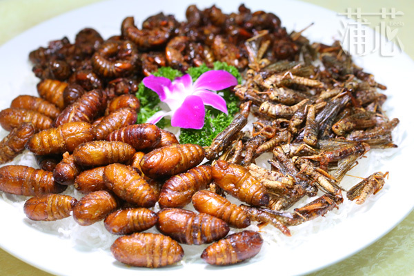 盘点济南必吃的十大美食,济南新开的好吃的美食