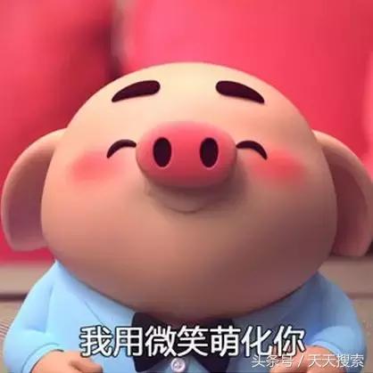 藏香猪卡C位的另类奋斗史