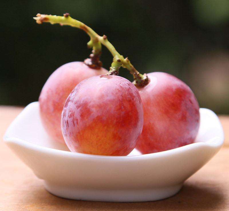 红提与葡萄的功效与作用,红提葡萄吃多了会怎么样