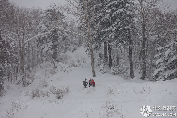 日本旅游要看账户流水不,日本旅行换钱攻略