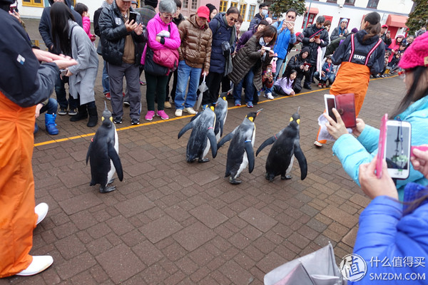 日本旅游要看账户流水不,日本旅行换钱攻略