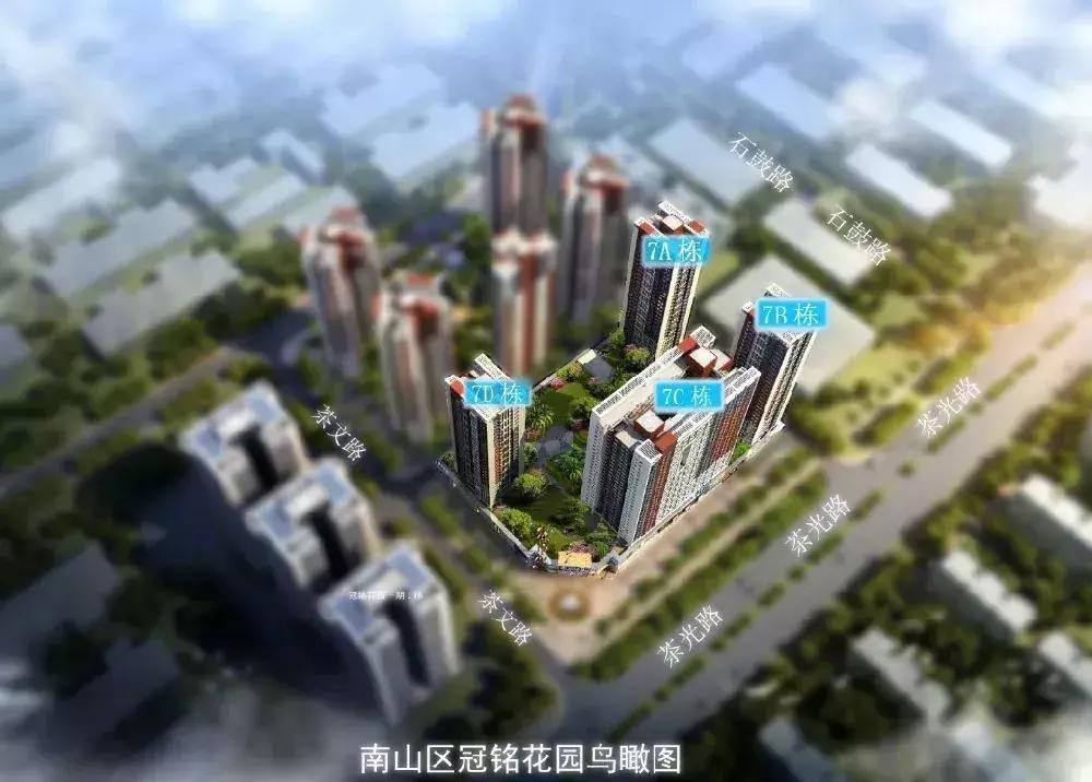 深圳市2024年有多少套公租房,深圳公租房单身能申请一房一厅吗