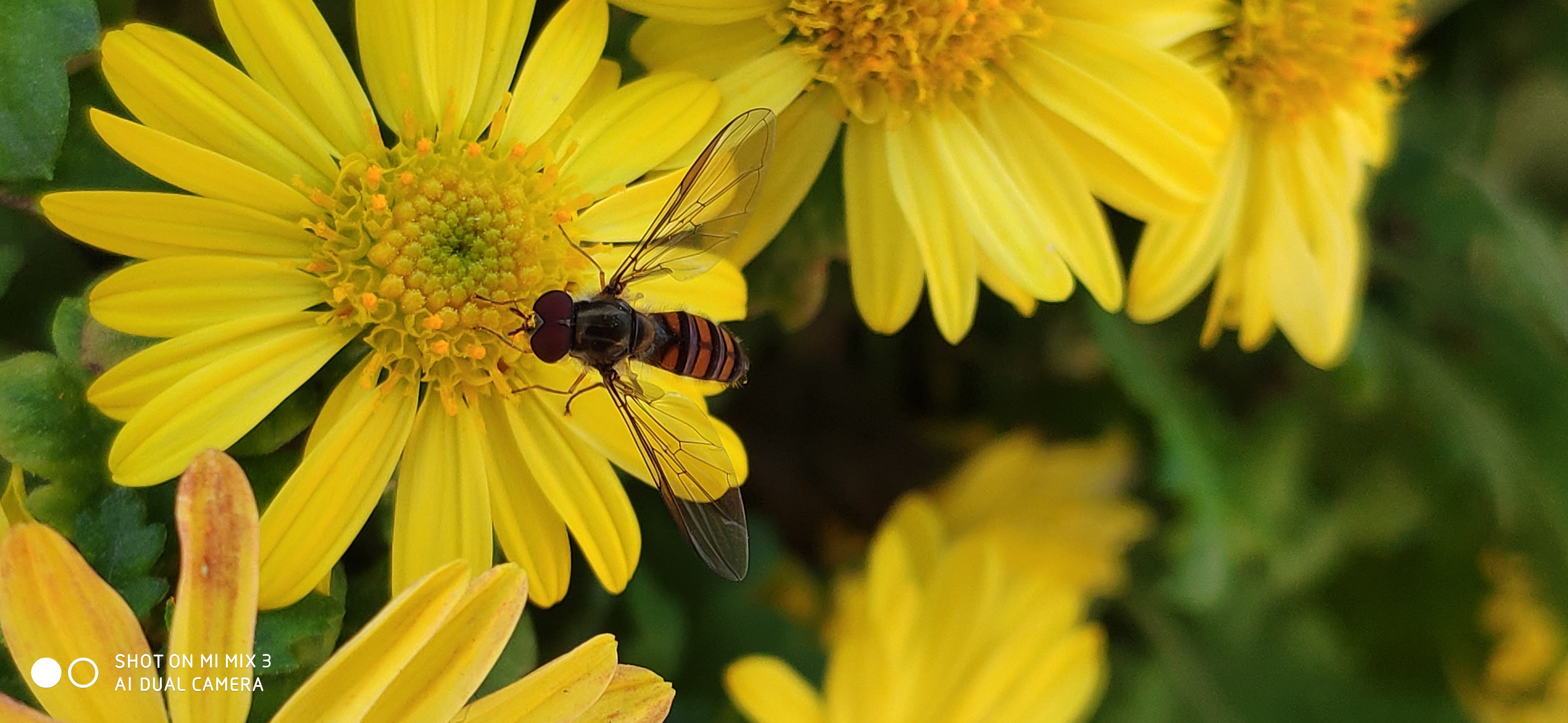 小米mix3磁滑盖,小米mix3滑屏测评