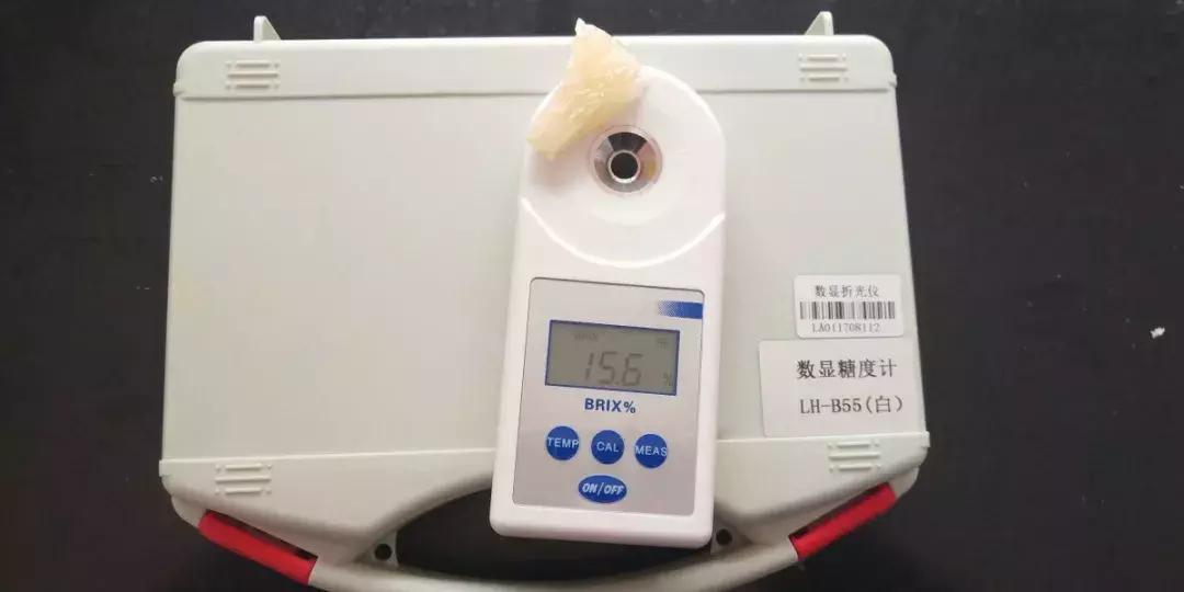 宣恩县县长宣传贡水白柚,恩施宣恩贡水白柚