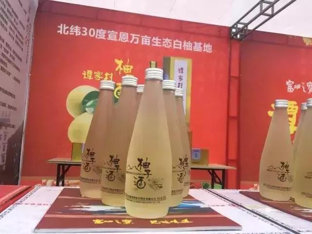 宣恩县县长宣传贡水白柚,恩施宣恩贡水白柚