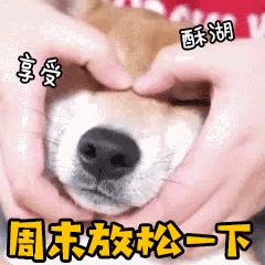 福州好逛的地方,福州东街口大洋花巷集市