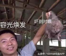 手游《竹鼠！活下去》试玩体验，头铁活到了83关了，还结婚了