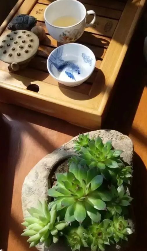 40句意境超美古茶诗词,美到窒息的茶文化诗词