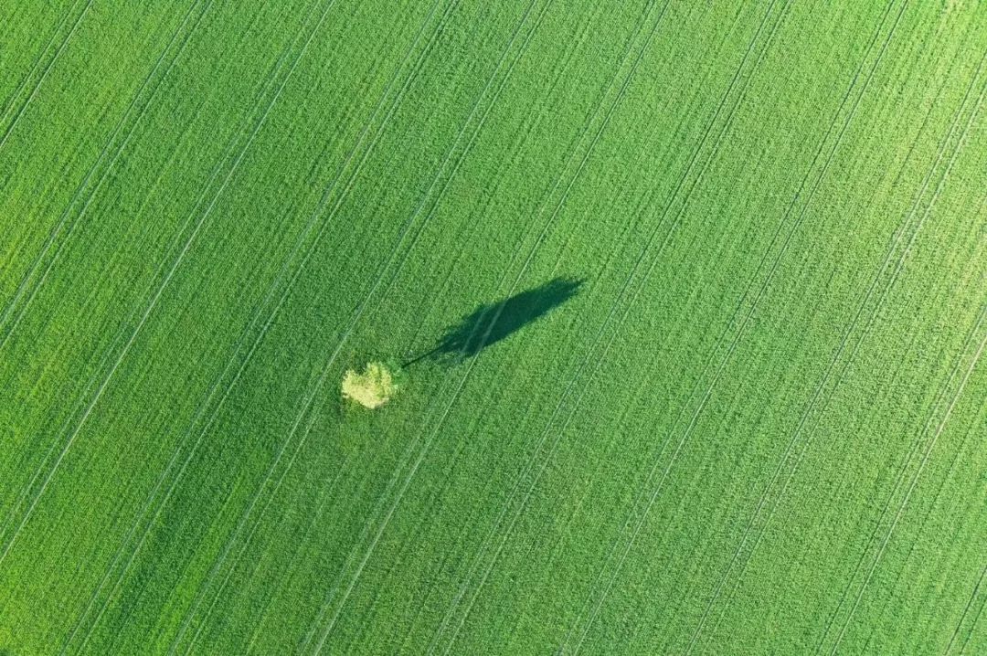 月亮落七宫,月亮落七宫代表什么
