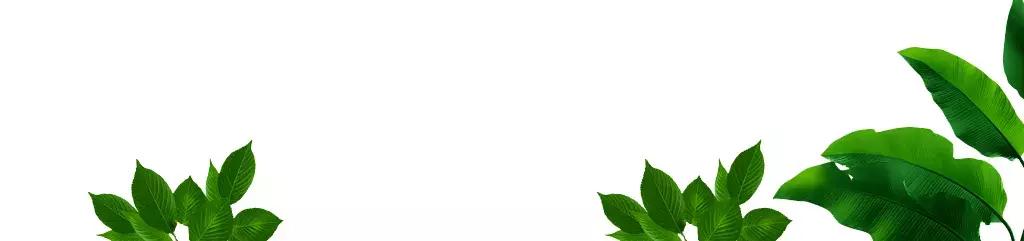 孕期什么时候补叶酸,孕期如何补叶酸指南总结这9点