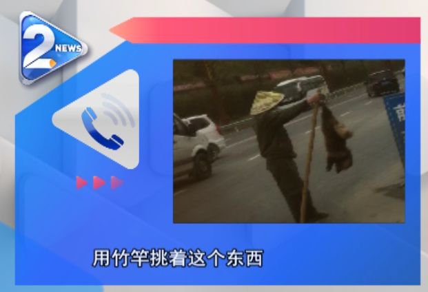 男子路边叫卖这种动物，还说味道鲜美，结果记者调查发现……
