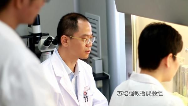 「潮医会会员风采」苏培强：快意江湖脊柱外科，专注颈椎病