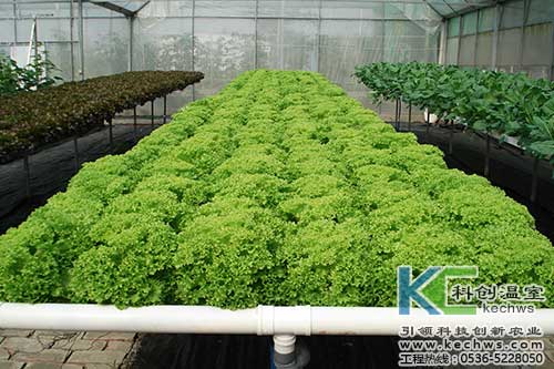 大阳台无土栽培蔬菜,室内阳台立体无土栽培菜园视频