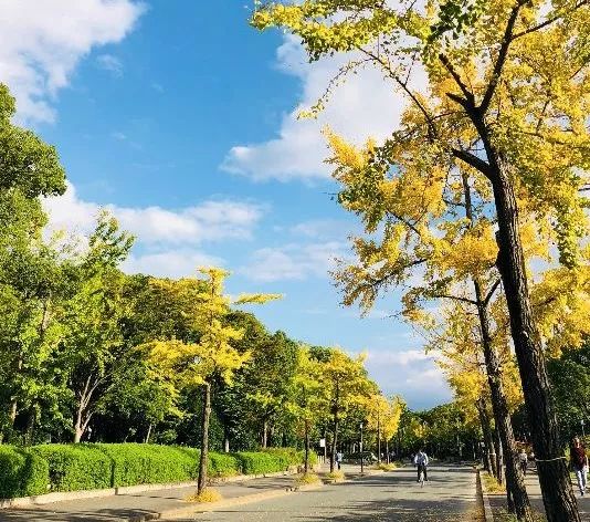 美物君日本之行｜发现了这些美物，真的是去了还想去