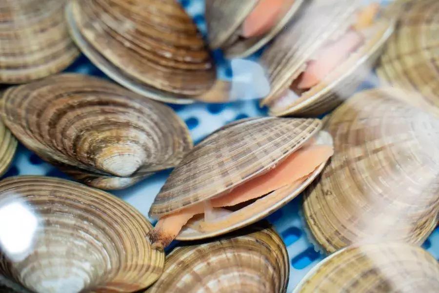 逛水族馆满脑子都是海鲜,水族馆里的海鲜
