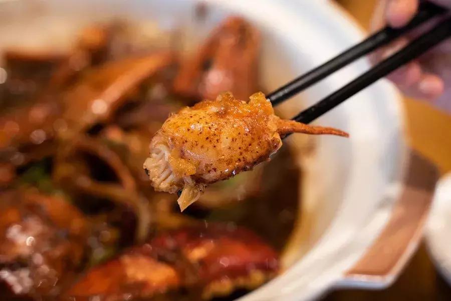 逛水族馆满脑子都是海鲜,水族馆里的海鲜