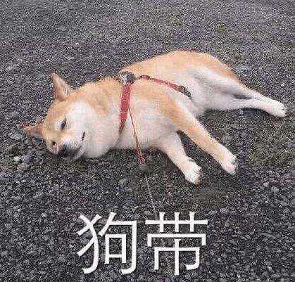 微信节省流量设置,微信哪个版本最省流量最好用