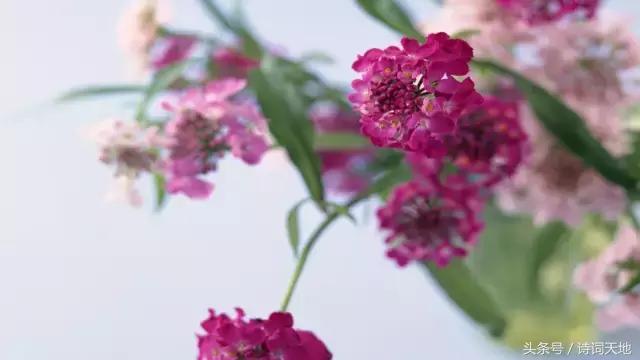 亦舒情感语录大全集,亦舒经典语录甜言蜜语