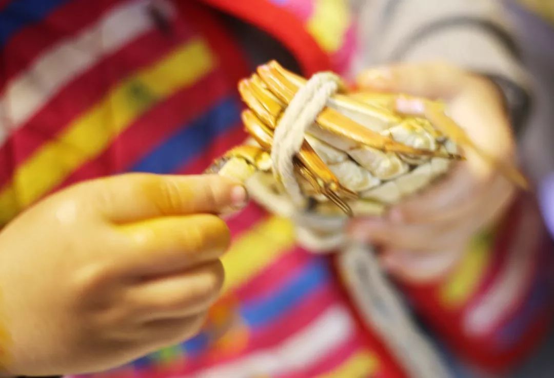 品尝清蒸大闸蟹公蟹和母蟹,清蒸大闸蟹前蟹需要处理吗