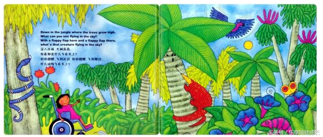 animalboogie绘本,thebook绘本磨耳朵