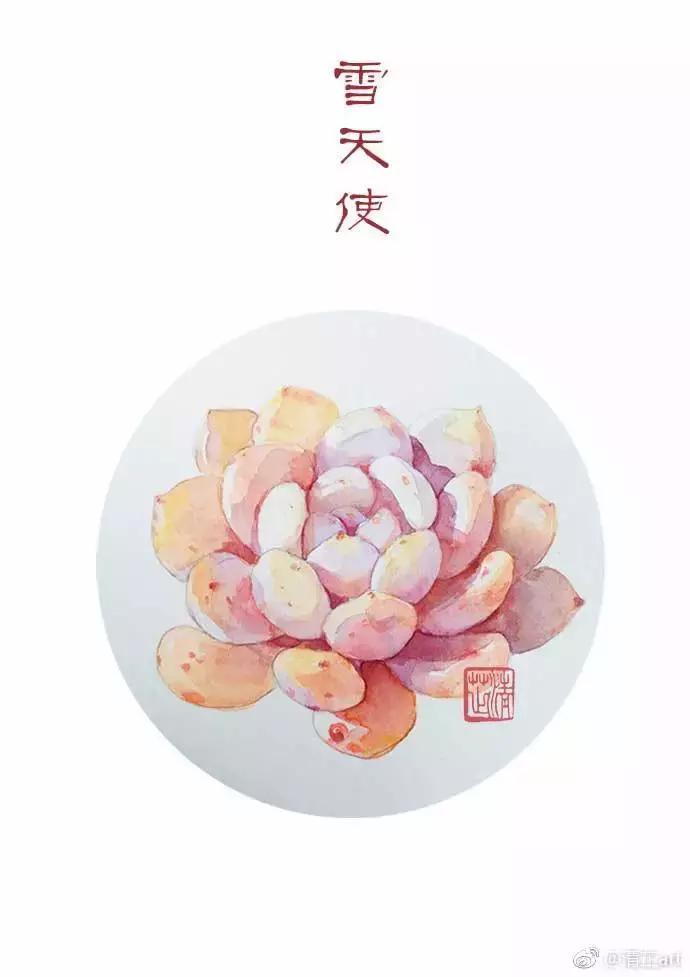 多肉上色真正的原因,多肉上色的变化